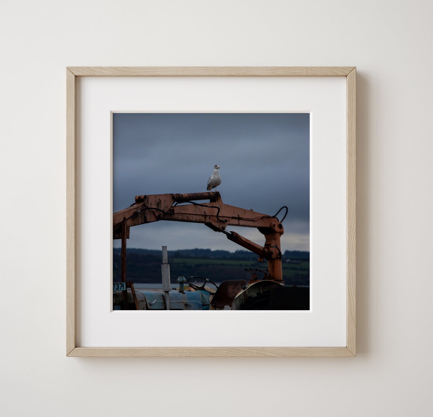 "Perched" | Courtmacsherry | West Cork