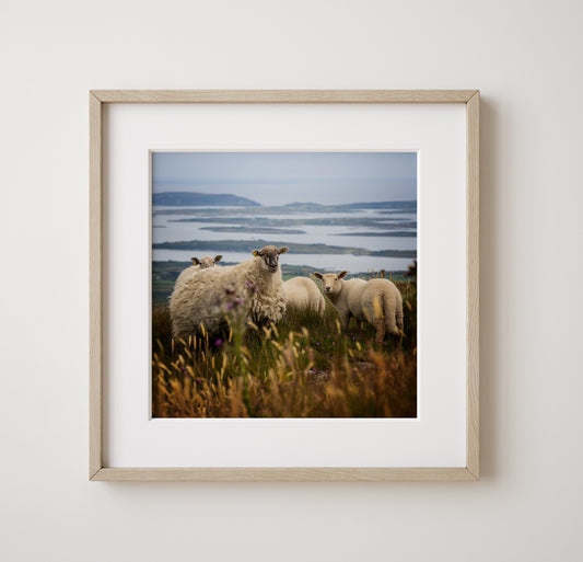 Mount Gabriel | West Cork | Landscape Photography